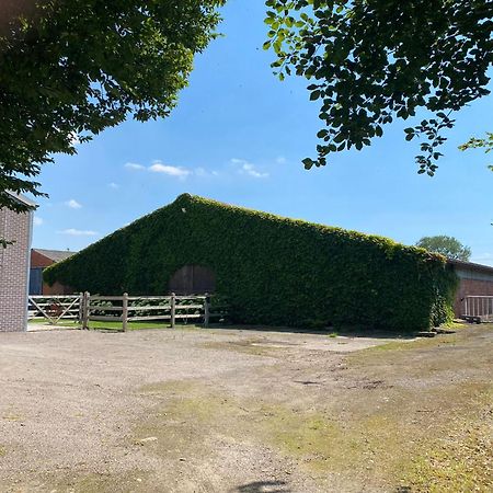 B&B De Vlierbeek Sint-Niklaas Zewnętrze zdjęcie