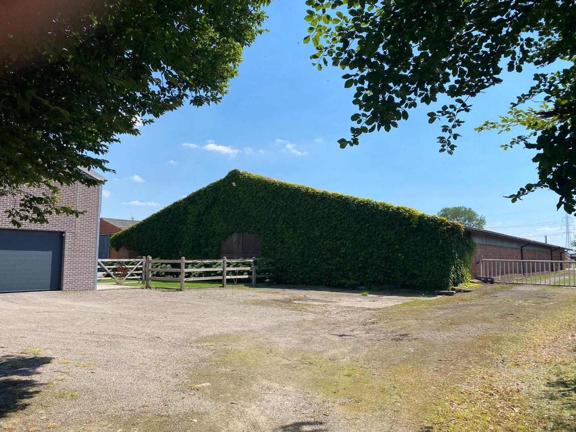 B&B De Vlierbeek Sint-Niklaas Zewnętrze zdjęcie